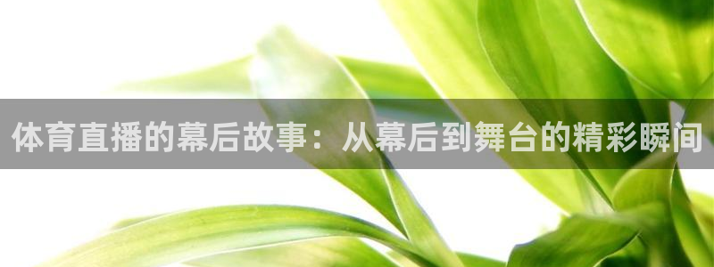 体育直播的幕后故事：从幕后到舞台的精彩瞬间
