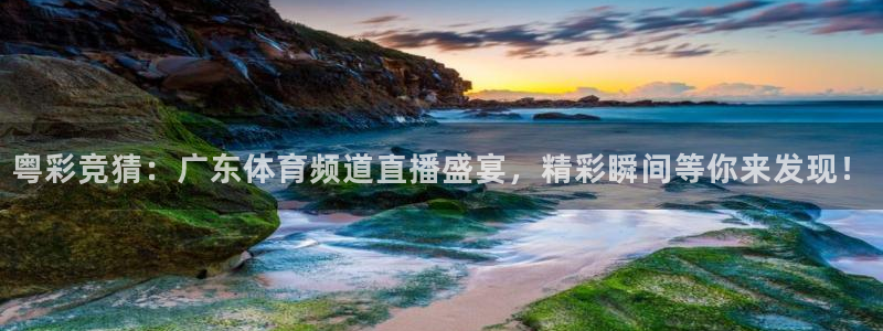 粤彩竞猜：广东体育频道直播盛宴，精彩瞬间等你来发现！