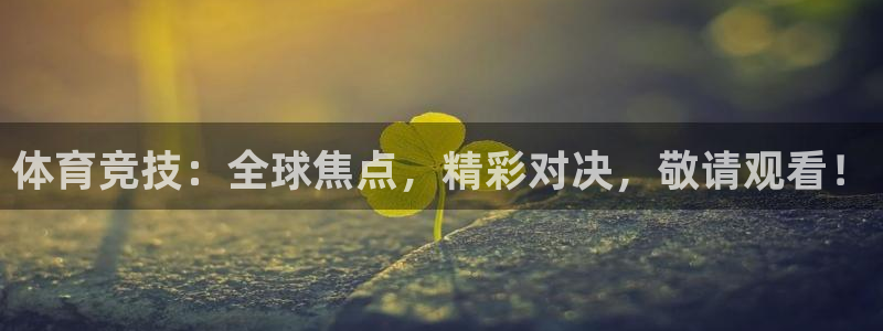 体育竞技：全球焦点，精彩对决，敬请观看！